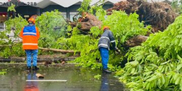 MASALAH pokok tumbang sehingga menghempap kenderaan serta mengganggu lalu lintas juga berlaku di Pulau Pinang khususnya di sekitar George Town gara-gara hujan lebat dan angin kencang, baru-baru ini
