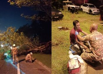 ANGGOTA bomba memberikan rawatan kepada seorang penunggang motosikal yang cedera selepas dihempap pokok tumbag dalam kejadian yang berlaku di Jalan Seremban-Tampin dekat Seremban pagi tadi.-GAMBAR/IHSAN BOMBA.