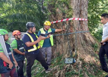 JASON H'Ng Mooi Lye (kanan) mendengar penerangan berkaitan kerja-kerja penilaian risiko pokok ketika melakukan pemantauan terhadap pokok-pokok berusia dan berisiko di Jalan Macalister, George Town, Pulau Pinang