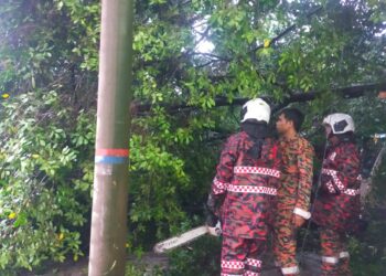 POKOK tumbang di beberapa lokasi di sekitar Kuala Lumpur akibat hujan lebat, petang tadi-ihsan bomba