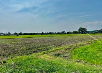 SEBAHAGIAN sawah yang sudah dibajak kering sebagai persediaan musim penanaman padi 1/2024 di Kedah.