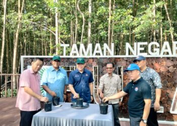 Ling Tian Soon ( tiga dari kiri ) menanam anak pokok bakau ketika melawat  Taman Negara Pulau Kukup (TNJPK) sempena pembukaan semula 17 Mei ini di  Pontian, Johor, hari ini. KOSMO/UTUSAN/MUHAMMAD ZIKRI