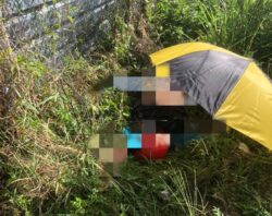 Tukang kayu maut dirempuh Toyota Hilux