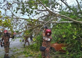 KERETA salah seorang mangsa yang terlibat dalam kejadian pokok tumbang di Jalan Datuk Kumbar, Alor Setar.