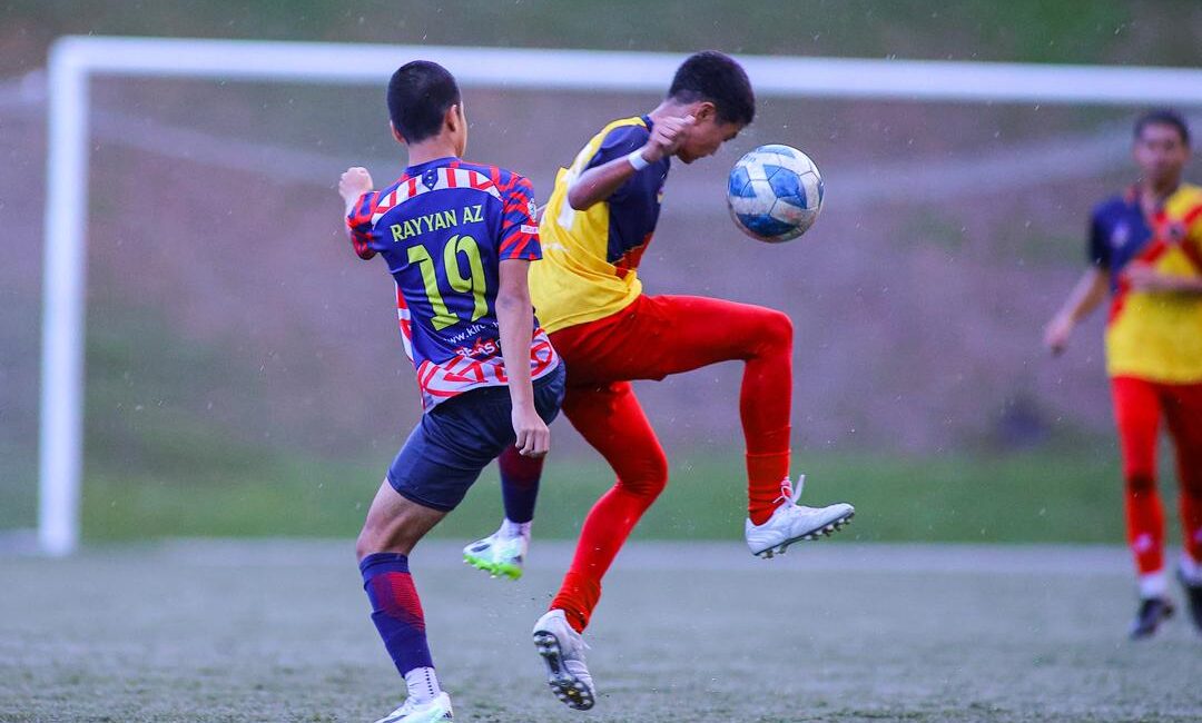 liga pld