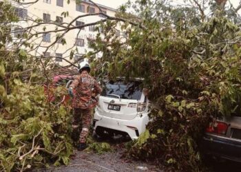 KEADAAN kenderaan yang dihempap pokok ekoran hujan di Bukit Sentosa, Hulu Selangor hari ini.