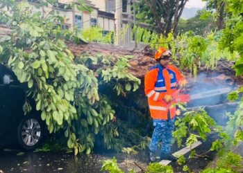 LIMA buah kereta dilaporkan mengalami kerosakan akibat dihempap oleh pokok tumbang susulan hujan lebat dan angin kencang di George Town, Pulau Pinang, awal pagi semalam.