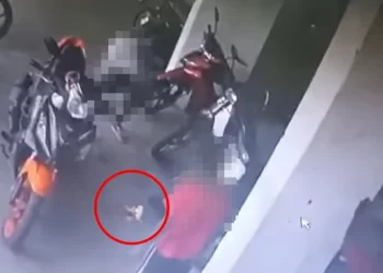 TANGKAP layar menunjukkan tiga individu yang disyaki melakukan perbuatan zalim membakar anak kucing (bulatan) di Flat Sungai Kenari, Sungai Ramal Baru, Kajang. - FOTO MEDIA SOSIAL
