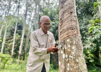 SEMUA pihak termasuk kerajaan dan agensi-agensinya yang berkaitan perlu memainkan peranan lebih berkesan untuk menentukan kenaikan harga getah sekarang boleh bertahan lebih lama. – UTUSAN/SHAHIR NOORDIN