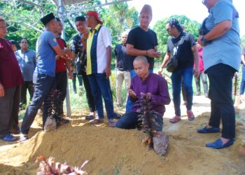 Muhammad Hanis Kamaruldzaman membaca doa selepas pengebumian bapanya,  
Kamaruldzaman Bakar atau lebih dikenali Kamal Bakar di Tanah 
Perkuburan Islam Bukit Baru Dalam, Melaka. - UTUSAN/AMRAN MULUP