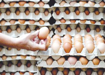 HARGA runcit bagi telur gred A, B dan C diturunkan tiga sen berkuat kuasa serta merta.