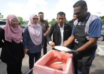 WAN MUHAMMAD AZNAN Abdullah (kiri) menunjukkan ikan susu pada Majlis Pelancaran Rasa-Rasa Akuakultur dan Jelajah Unggulan Perikanan Negeri Johor 2024 di Jabatan Perikanan Negeri Johor, Iskandar Puteri.