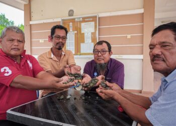 PENTERNAK menunjukkan kupang yang telah mati di Jeti Nelayan Pangkalan Sebatu, Jasin, Melaka. - UTUSAN/SYAFEEQ AHMAD