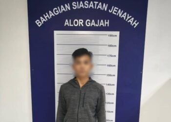 SUSPEK ditahan di Taman Kok Liang, Kuala Lumpur dan disiasat mengikut Seksyen 435 Kanun Keseksaan.