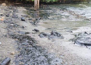 KAWASAN pantai di perairan Pengerang yang tercemar akibat tumpahan minyak susulan perlanggaran kapal di Terminal Pasir Panjang, Singapura.