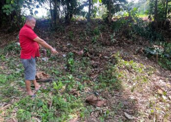 WONG menunjukkan tempat penemuan rangka manusia di kebunnya berhampiran Kompleks Penghulu Mukim Linau di Batu Pahat.
