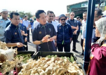 ARTHUR Joseph (tengah ) mendengar taklimat tentang perusahaan cendawan sempena sesi libat urus  bersama peladang, penternak dan nelayan di Peladang Outlet, PPK Benut, Pontian.