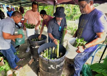 AHMAD Nazari Abdullah (kiri) bersama rakan-rakannya bergotong-royong memasak lemang yang dibakar di dalam tong dram ketika ditemui di Kampung Sentosa Jaya, Seremban hari ini.-UTUSAN/MOHD. SHAHJEHAN MAAMIN.