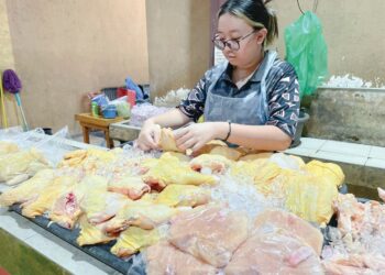 MELDA Abdul menyusun daging ayam yang dijualnya di tapak Tamu Donggongon, Penampang, Sabah.