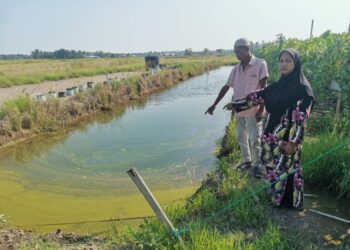 SITI Maskiah Md. Jaid dan Mohammad Shafei Kordi menunjukkan parit lokasi anak mereka ditemukan lemas dalam kejadian pada Rabu lalu di Sungai Manik, Pasir Salak, Perak. - UTUSAN/AIN SAFRE BIDIN