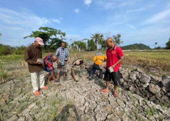 KERAJAAN Kelantan memperuntukan sebanyak RM1.8 juta bagi membantu pesawah yang terjejas akibat musim kemarau di negeri ini di bawah Program Pembangunan Industri Padi-GAMBAR HIASAN