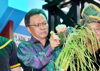 MOHD. Shafie Apdal (dua dari kiri) semasa mengetam padi sebagai simbolik perasmian Lamai Kaamatan Warisan di Penampang hari ini.