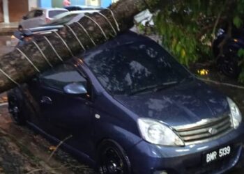 HUJAN lebat beserta ribut di sekitar daerah Sepang, Selangor menyebabkan lebih 35 pokok tumbang sehingga ada yang menghempap kenderaan serta rumah.