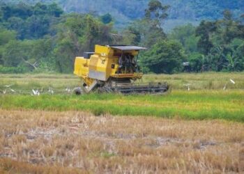 KOS penggunaan diesel terhadap mesin padi dijangka meningkat yang berkemungkinan akan membebankan para petani. – UTUSAN/SHAHIR NOORDIN
