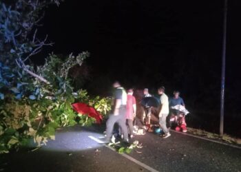 KEADAAN mangsa yang dihempap pokok dalam kejadian di Jalan Kampung Padang Benta, Simpang Empat, Kangar, Perlis, pada awal ini. -UTUSAN