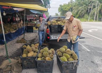 ZULKIFLI Fudzi (kanan) memunggah durian yang baru tiba dari atas kenderaan di gerai jualannya di Jalan Maharajarela Teluk Intan. - UTUSAN
