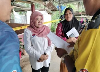 Khairin-Nisa Ismail