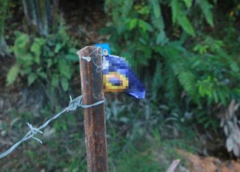 KEJADIAN malang menimpa dua beradik sehingga mengakibatkan maut selepas termakan makanan ringan dicampur racun tikus di Kulim, Kedah, baru-baru ini memberikan hak kepada pihak yang tercedera untuk meminta pampasan sewaktu berada di dalam kawasan tanah atau premis penghuni.