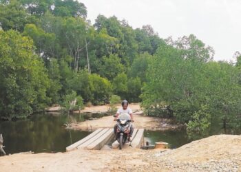 LALUAN masuk ke hutan paya bakau Sungai Tuntung, Pantai Remis, Perak iaitu kawasan dua lelaki hilang ketika mencari siput belitung sejak 18 Jun lalu. – UTUSAN/AIN SAFRE BIDIN
