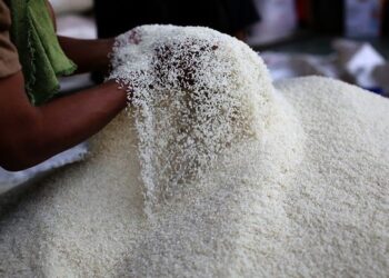 HANYA beras putih import sekampit 10 kilogram (kg) berharga antara RM29 hingga RM34.50 sahaja dijual.