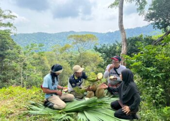 HAMIZAT Had dan isteri, Lely Suriana Puteh menyajikan buah durian di dusun mereka yang berusia lebih 200 tahun di atas bukit berketinggian 230 meter di Banjaran Nakawan di Bukit Wang Angin, Kangar, Perlis semalam. – UTUSAN/MOHD. HAFIZ ABD. MUTALIB