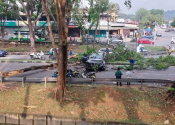 INSIDEN dahan pokok tumbang di Lebuh Ayer Keroh, Melaka.