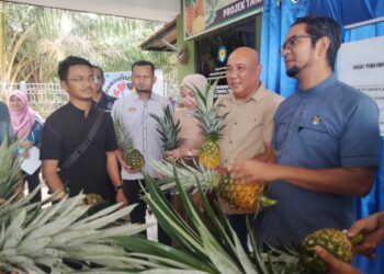 SHEIKH UMAR Bagharib Ali (kanan) berbual dengan peserta projek tanaman nanas berkelompok di Kampung Parit Jerman, Pontian.