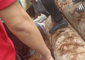 ORANG ramai memeriksa  keadaan mangsa yang dihempap kayu balak dalam kejadian di
Persimpangan Bendahara, Jalan Gua Musang-Kuala Krai, Gua Musang, Kelantan semalam.