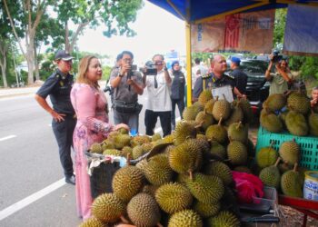 NORENA Jaafar melakukan operasi gerai durian di tepi jalan sekitar Cheng, Melaka. - UTUSAN/AMRAN MULUP