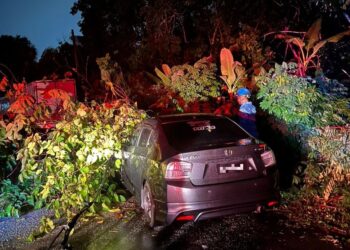 KEJADIAN pokok tumbang yang menghempap sebuah kereta di lokasi Taman Gadong Jaya, Seremban awal pagi tadi.-GAMBAR/IHSAN APM
