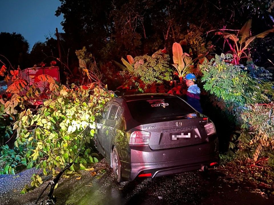 Ribut: Dua kejadian pokok tumbang hempap kereta dilaporkan di Seremban Ribut: Dua kejadian pokok tumbang hempap kereta dilaporkan di Seremban