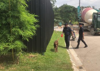 SEEKOR anjing pengesan Unit K9 turut digunakan untuk mengesan seorang kanak-kanak perempuan yang dilaporkan hilang di pusat beli-belah Eco Galleria, Iskandar Puteri.