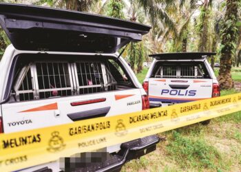 KEKEJAMAN pelaku terhadap mangsa menimbulkan persoalan ke manakah perginya rasa sayang selama ini. – GAMBAR HIASAN