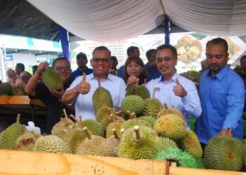 ABDUL Rashid Bahri (dua dari kanan) menunjukkan durian IOI yang dijual sempena program Kendurian@Jualan Agro Madani di sebuah pasar raya di Peringgit, Melaka. - UTUSAN/AMRAN MULUP