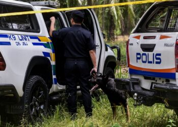 4 - Unit Anjing Pengesan Polis Diraja Malaysia (PDRM) (K9) turut membantu bagi pencarian barang bukti  milik mangsa bunuh Nur Farah Kartini di ladang kelapa sawit Kampung Sri Kledang, Hulu Selangor, di sini hari ini. Gambar M. FIRDAUS M. JOHARI
