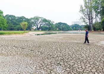 KEADAAN Taman Tasik Taiping yang kering disebabkan cuaca panas. – UTUSAN/WAT KAMAL ABAS