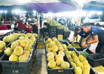 ORANG ramai membeli durian di gerai Kamarul Hafsan Yaakob di tepi Jalan Gambang-Kuantan dekat Batu Tiga berhampiran Sungai Isap 
di Kuantan, Pahang. – UTUSAN/SHAIKH AHMAD RAZIF