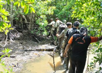 ANGGOTA Batalion Kesembilan Rejimen Renjer Diraja, Taiping  dan sukarelawan menyertai pencarian dua lelaki hilang di hutan paya bakau Sungai Tuntung Pantai Remis semalam. - UTUSAN/WAT KAMAL ABAS