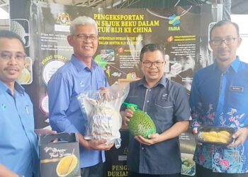 AMINUDDIN Zulkipli (dua dari kiri) menunjukkan durian sejuk beku siap dibungkus untuk dieksport ke negara China di Pusat Operasi FAMA Batu Kurau di Larut. - UTUSAN/WAT KAMAL ABAS
