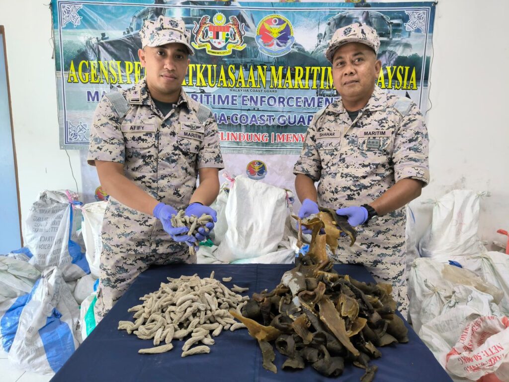 Cubaan seludup daging penyu, balat bernilai RM200,000 gagal Cubaan seludup daging penyu, balat bernilai RM200,000 gagal